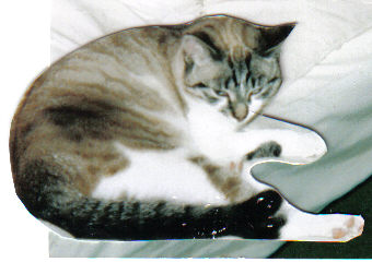 mon bébé